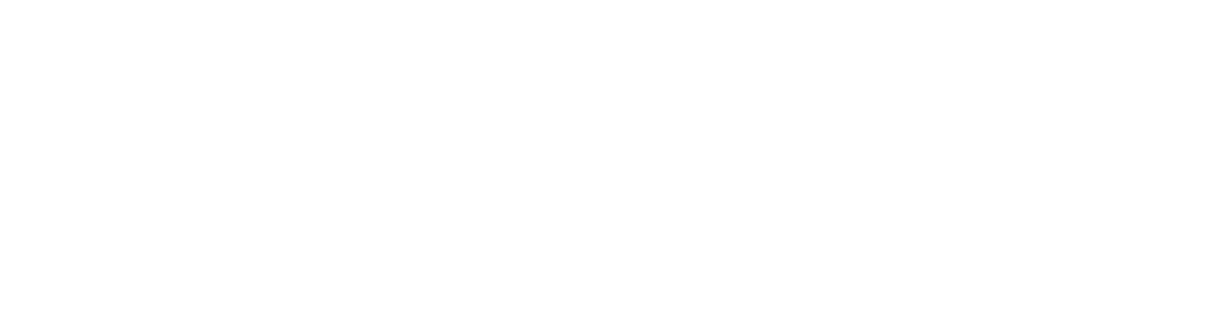 Young Value Co. — logo white horizontal